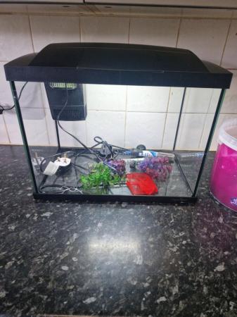 Image 5 of Tropical fish tank and all the the starter set up