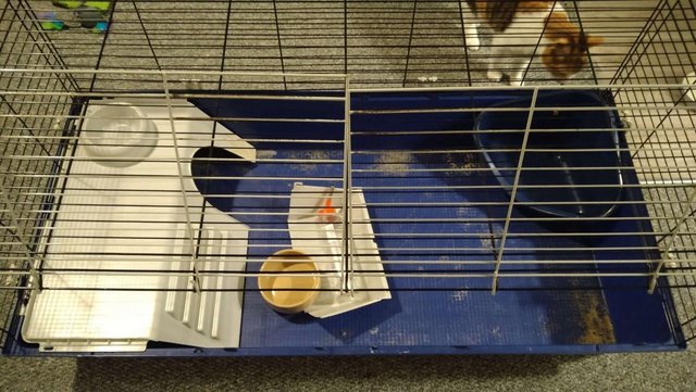 Image 3 of Large cage for rabbits/Guinea pigs/hamster