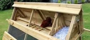 Image 3 of Boughton Chicken Ark & Various Duck Houses Price reduced