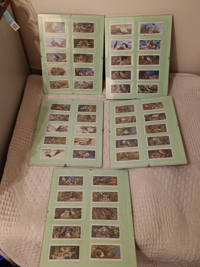 Preview of the first image of Cigarette Cards, Birds,Framed.