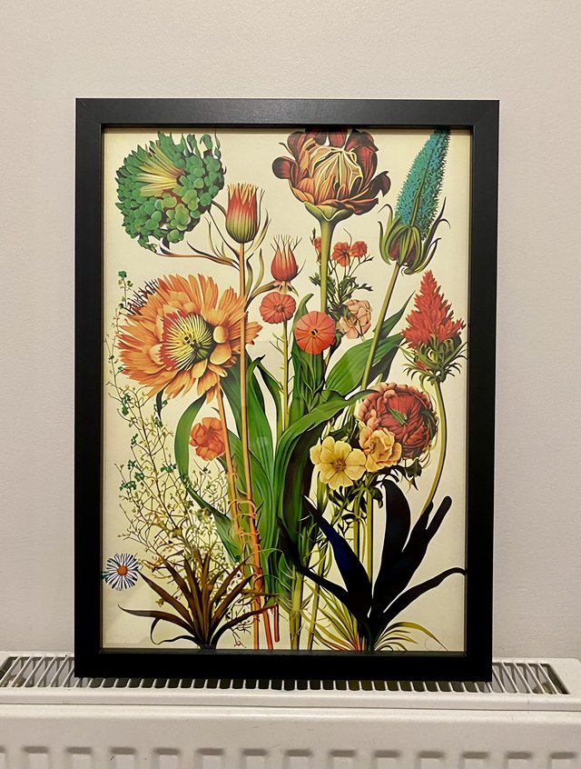 Preview of the first image of Vintage Botanical Flowers A3 framed print picture 34x45cm.