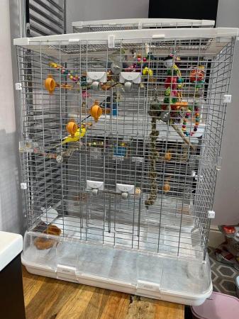 Image 5 of X-Large vision cage for Sale good condition