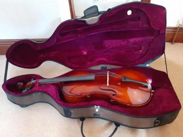 Image 2 of Antoni Debut 3/4 sized 'cello in Archer lightweight case