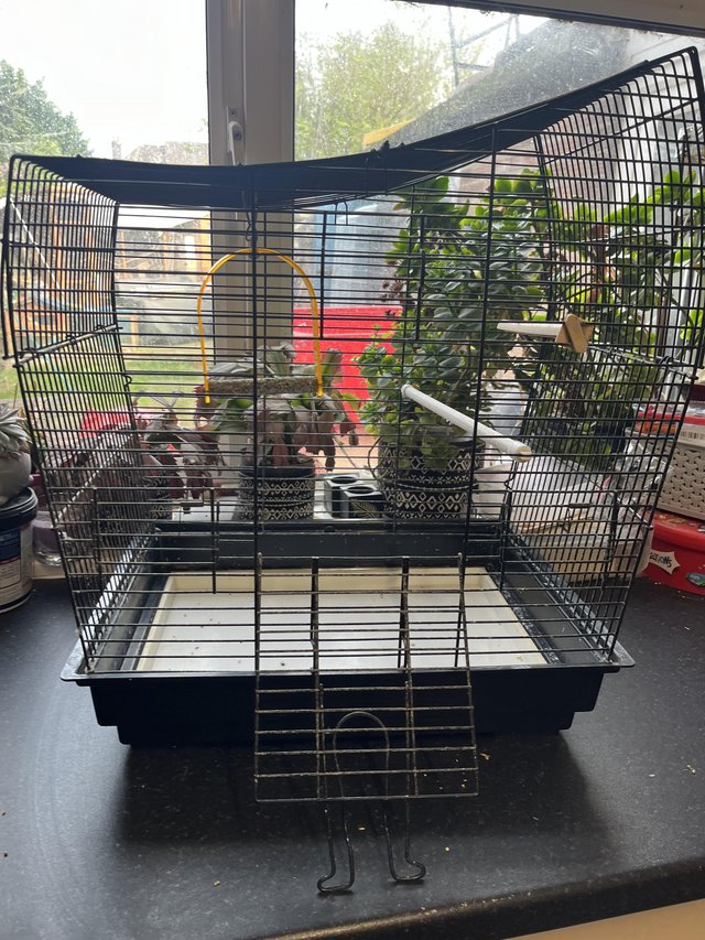 Preview of the first image of Bird cages for sale different sizes available.