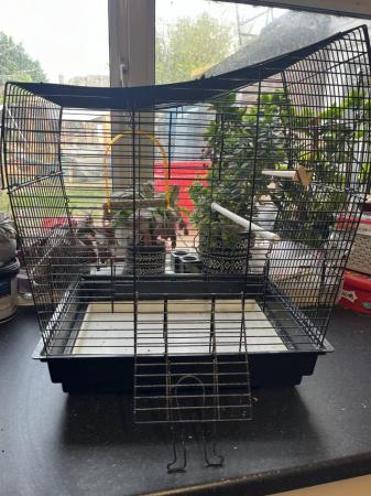 Image 1 of Bird cages for sale different sizes available
