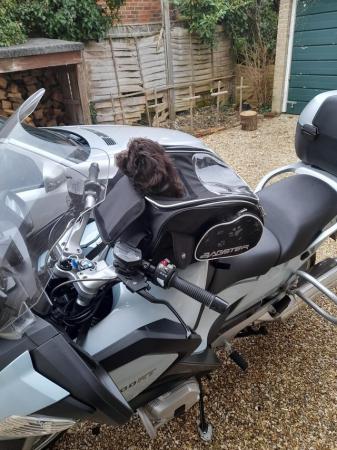 Image 2 of Bagster Dog carrier for motorbike with fixing kit