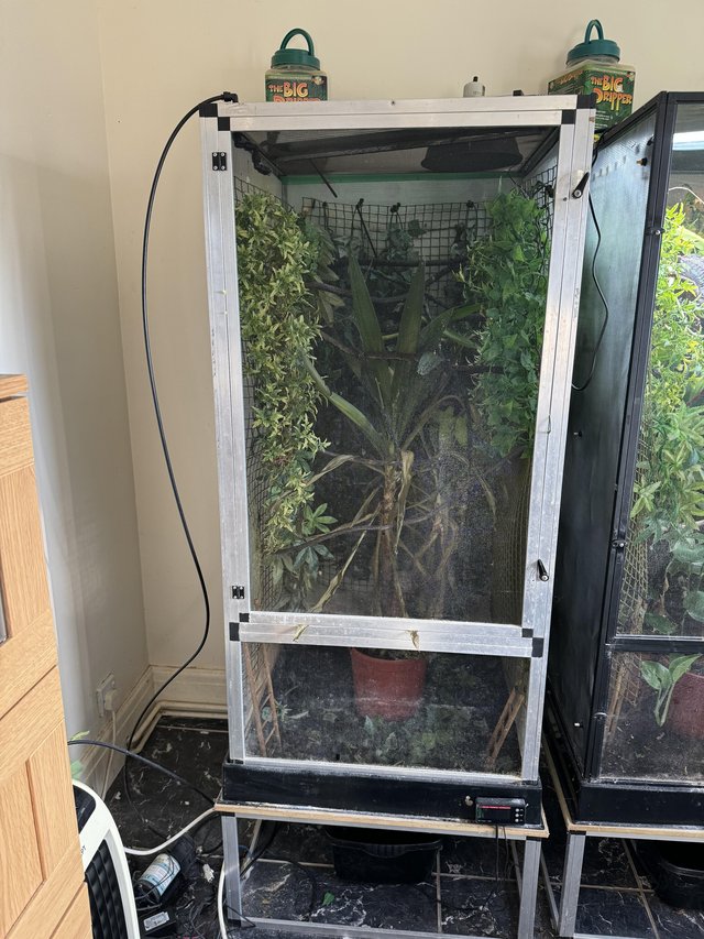 Preview of the first image of Muji Mesh Chameleon Enclosure.