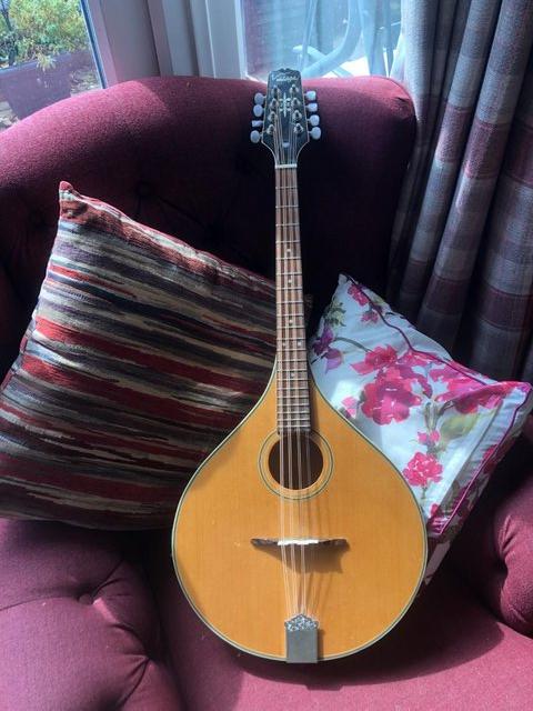 Preview of the first image of Vintage Mandola electro/acoustic.
