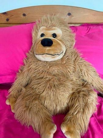 Image 2 of Big Orangutan cuddly toy, a real  a big softie!