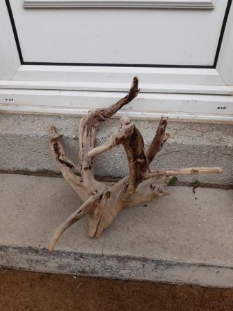 Image 1 of Bog wood /drift wood pieces from £2