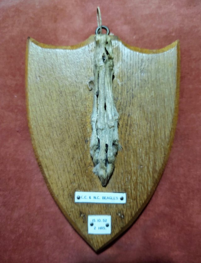Preview of the first image of Skeleton Paw Mounted On Oak Shield.