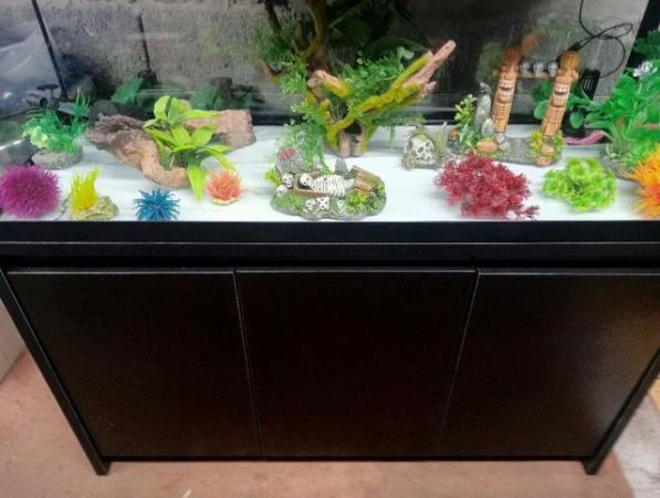 Image 4 of Fluval Roma 240L aquarium with storage cupboard/stand