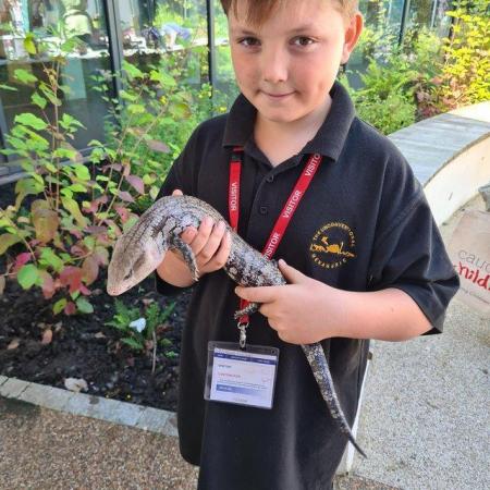 Image 1 of Animal encounters and school bookings