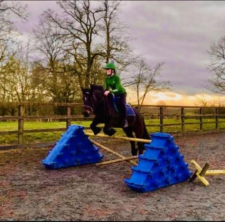 Image 1 of Wanted- 15hh+ Horse for experienced rider (£2500 max)