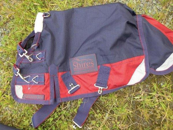 Image 3 of New Shires very small rugs 24" (2ft)