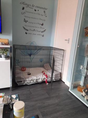Image 4 of Extra Large dog crate,used once only