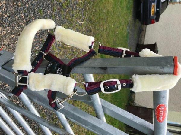 Image 1 of NEW RHINEGOLD FUR LINED HEADCOLLAR WITH BURGANDY ROPE £8.50.