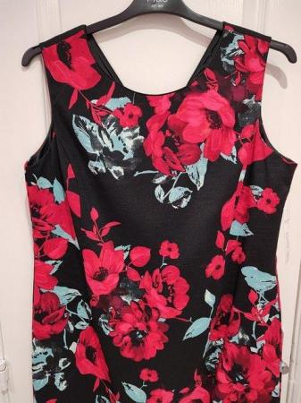 Image 7 of BNWT Anna Rose Dress Size 16 Red/Black