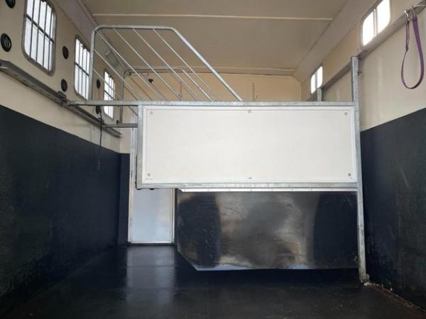 Image 3 of 2009 7.5T Midland Horsebox For Sale