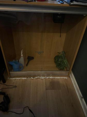 Image 4 of Immaculate reptile vivarium PICK UP ONLY