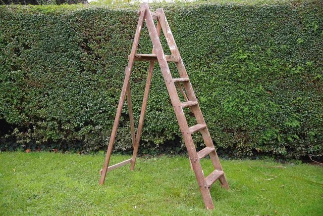 Image 1 of Wooden Step Ladder 6 steps