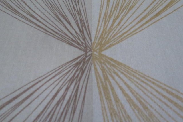 Image 2 of Fabric Remnant Modern design