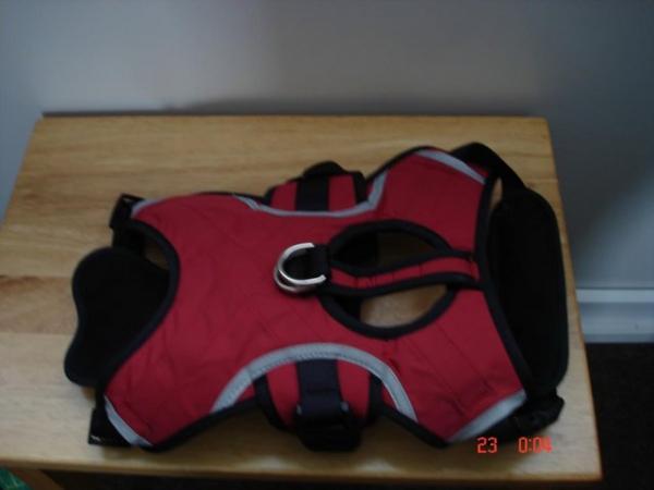 Image 4 of red/black dog harness very strong