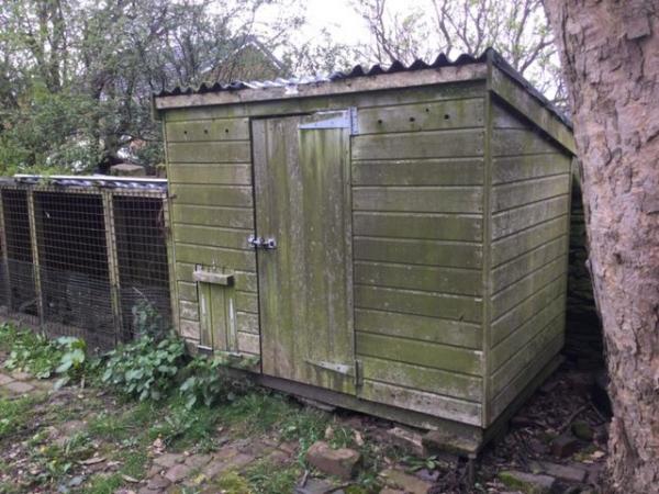Image 1 of Poultry hut for sale with run