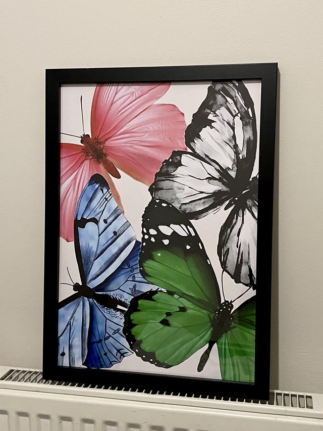 Preview of the first image of Multicolour Butterflies A3 framed print art picture 34x45cm.