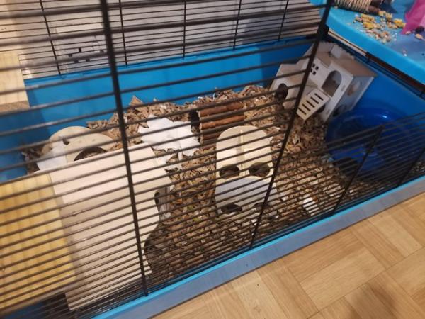 Image 4 of Large hamster/mouse cage with accessories
