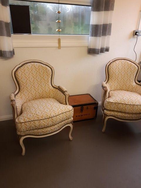 Preview of the first image of Two Louis XVI chairs, with feather cushions.