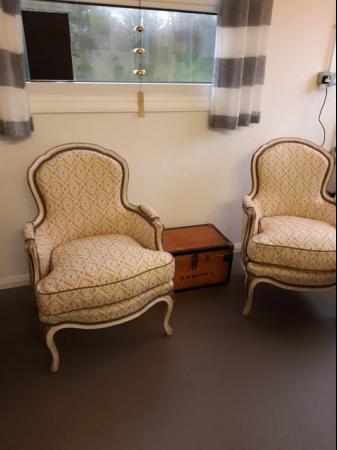 Image 1 of Two Louis XVI chairs, with feather cushions