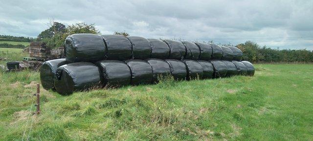 Image 1 of *****Wrapped meadow Hay 2023 ****