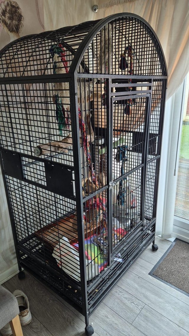 Preview of the first image of Parrot cage large ideal for any parrot.