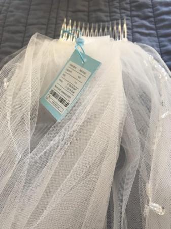 Image 2 of Full length wedding dress veil