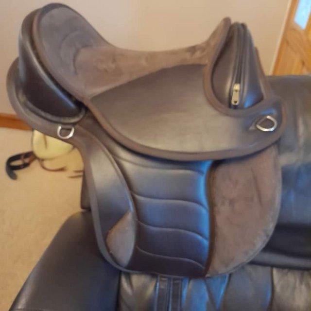 Preview of the first image of Treeless Edix saddle,  lovely condition.