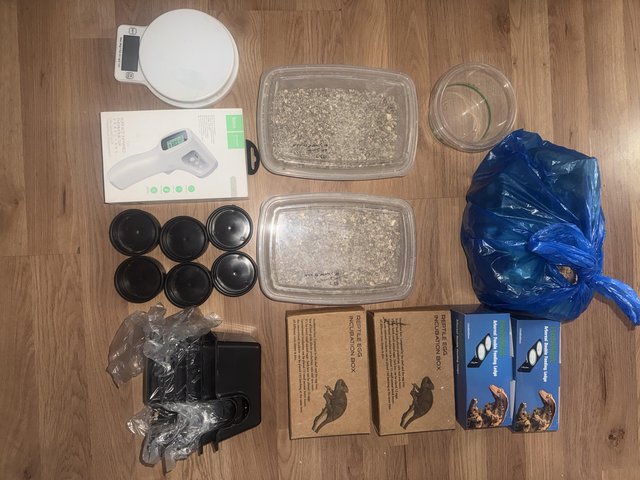 Reptile Incubator And Equipment 