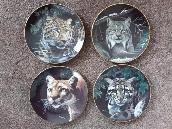 Image 2 of HAMILTON COLLECTION NATURES MAJESTIC CATS PORCELAIN PLATES
