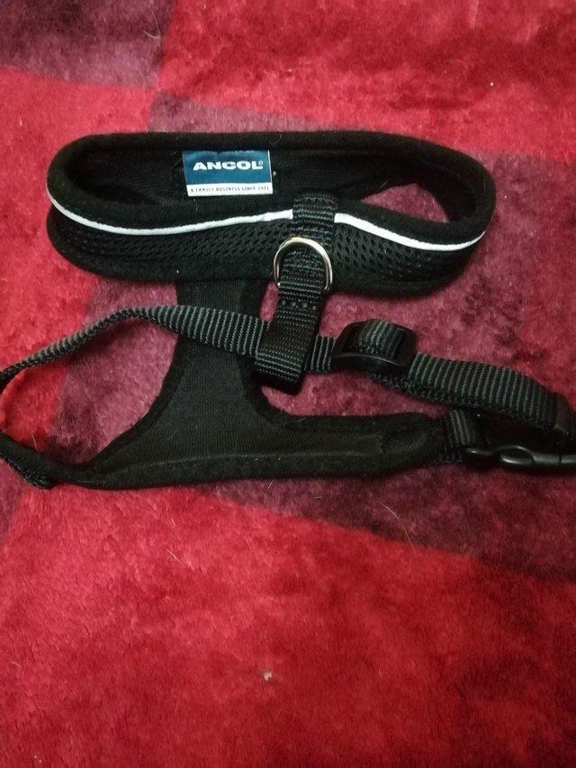 Preview of the first image of Dog Harness ANCOL black good condition.