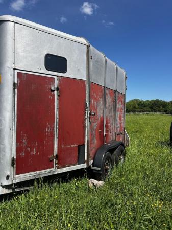 Image 3 of Iforwilliams 505 horse trailer