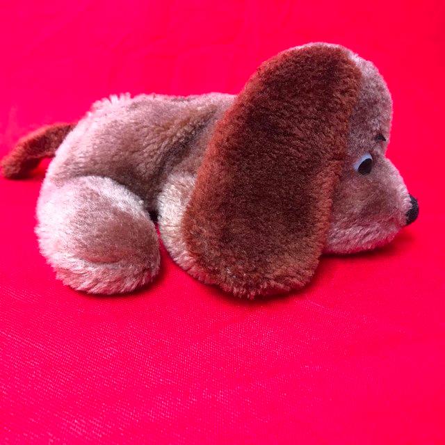 Preview of the first image of Plush toy dog. Big eyes & floppy ears. Happy to post..