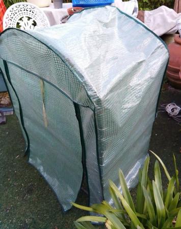 Image 12 of Mini Greenhouse for Plants & Seedlings