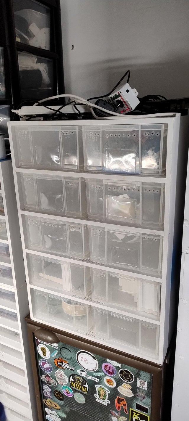 Preview of the first image of Herpxotics 12l snake rack 10 tub.