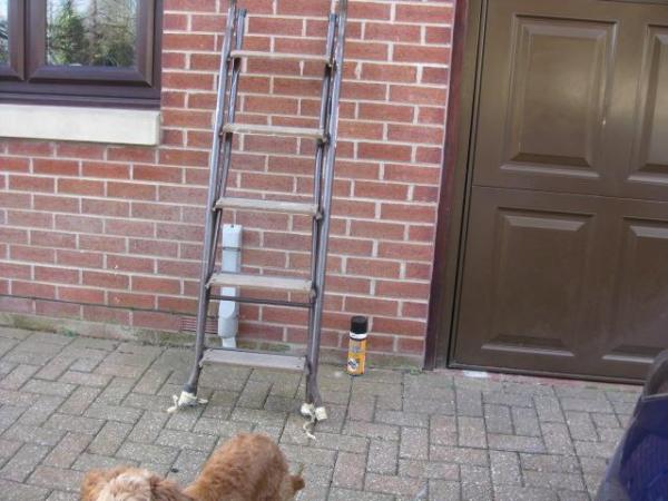 Image 1 of FOLDING STEP LADDER FOLDING STEP LADDER. AS PER PHOTOS. Can