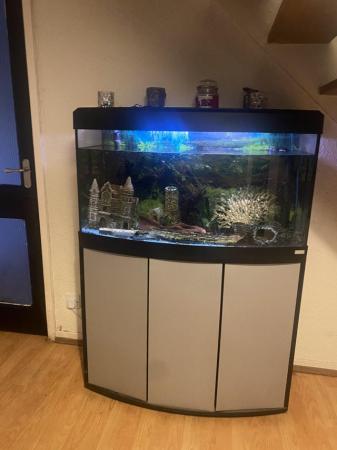 Image 2 of 180L FLUVAL fish tank with external filter and heater