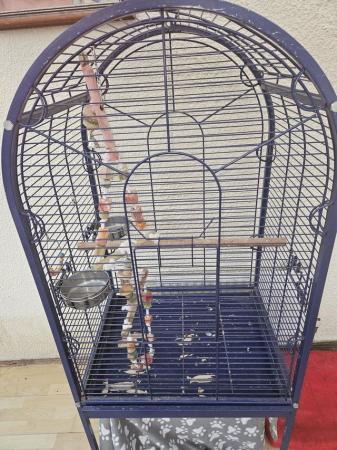 Image 5 of Big bird cage for sale derby