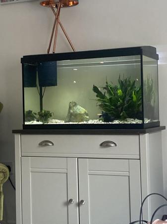 Image 1 of Fish tank for sale, 110 litres, excellent condition