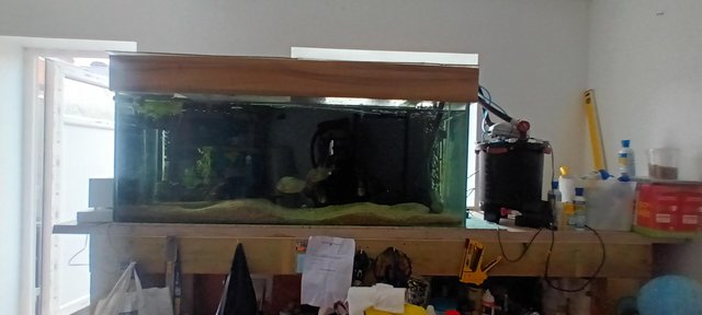 Preview of the first image of FISH TANK 5 FEET. Second hand..