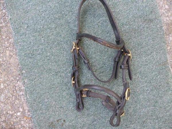 Image 1 of New Shires Blackleather Small Pony Inhand bridle