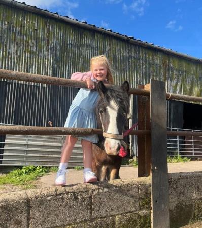 Image 2 of Perfect kids pony on lead or off